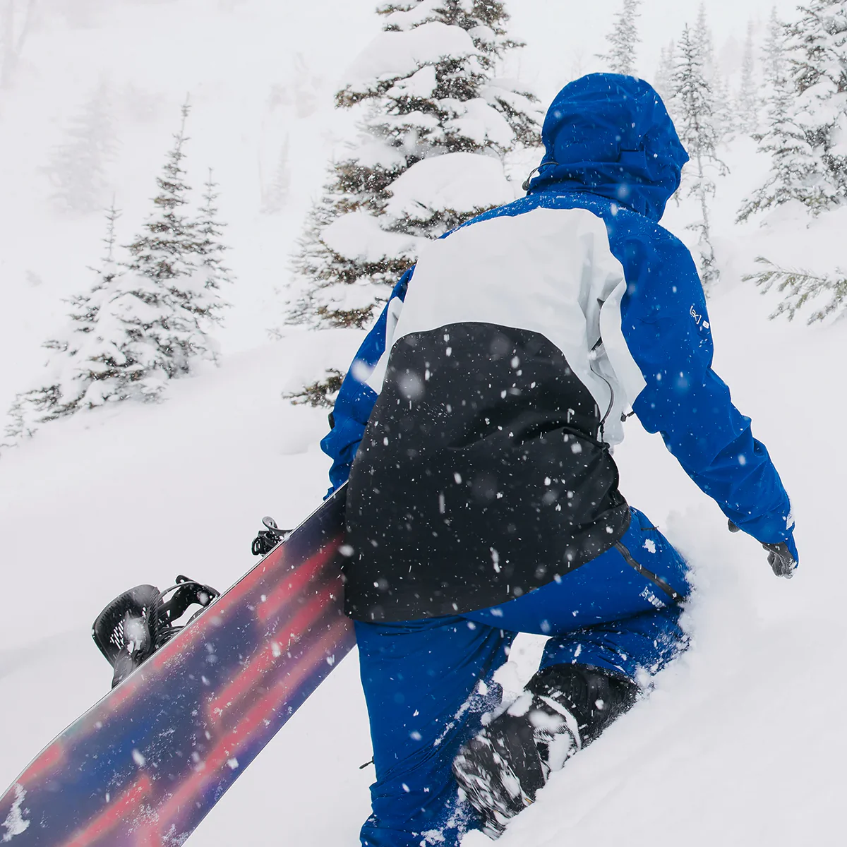 Men's AK Gore-Tex Swash Jacket - Onhollan