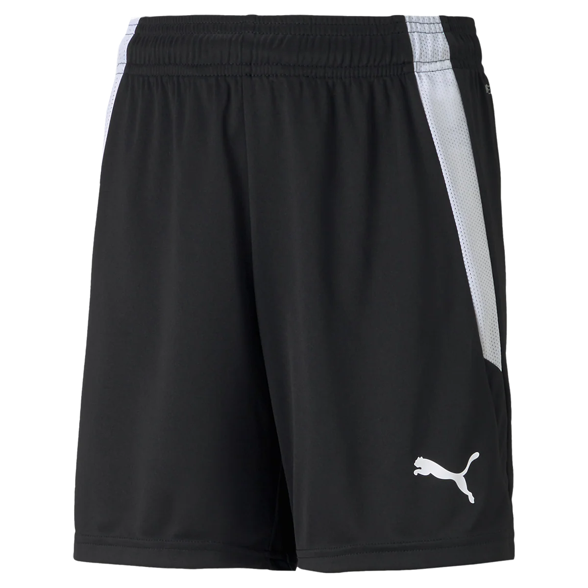 Youth Team Liga Shorts - Onhollan