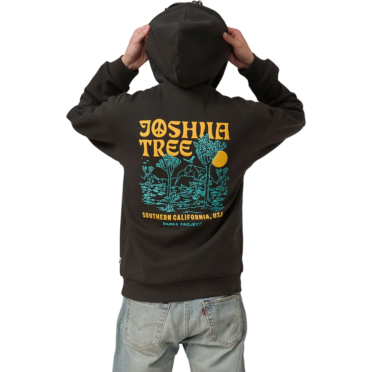 Joshua Tree DIY Hoodie - Onhollan