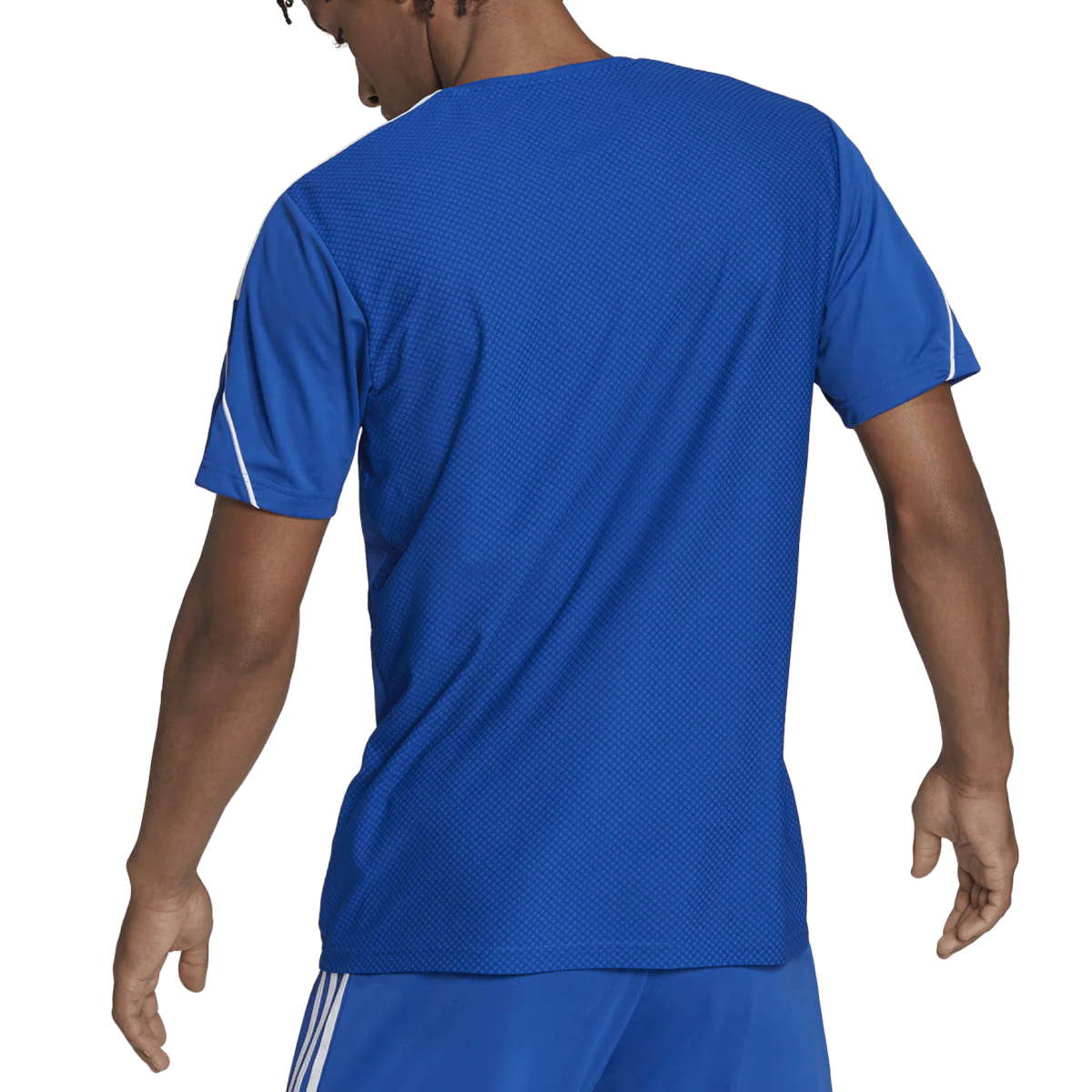 Men's Tiro 23 Jersey - Onhollan