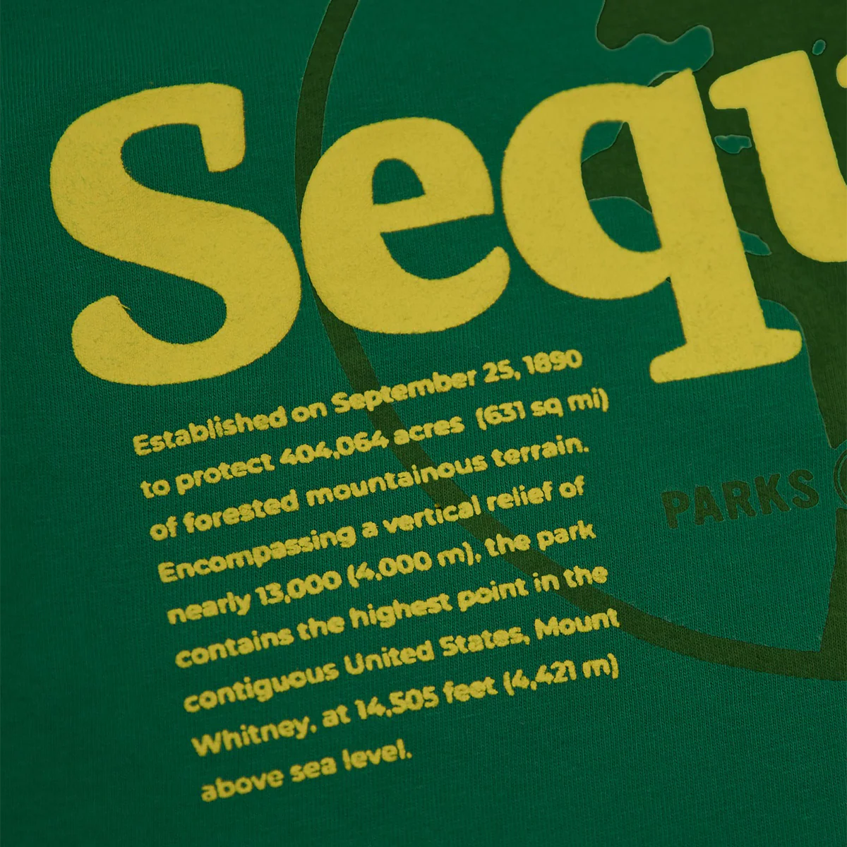 Unisex Sequoia Puff Print Pocket Tee - Onhollan